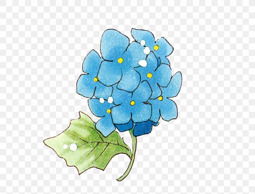 Cut Flowers Hydrangea Petal, PNG, 1198x914px, Flower, Blue, Cut Flowers, Floral Design, Flowering Plant Download Free