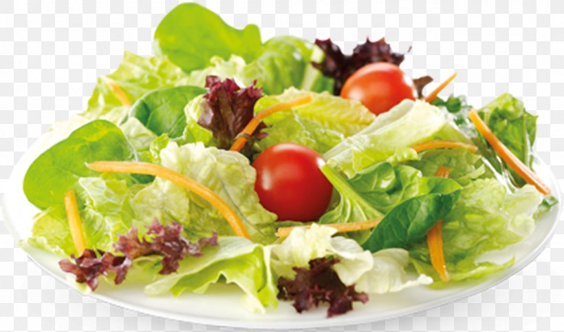 Greek Salad Chicken Salad French Fries Wrap Chef Salad, PNG, 1503x884px, Greek Salad, Caesar Salad, Chef Salad, Chicken Salad, Cucumber Download Free