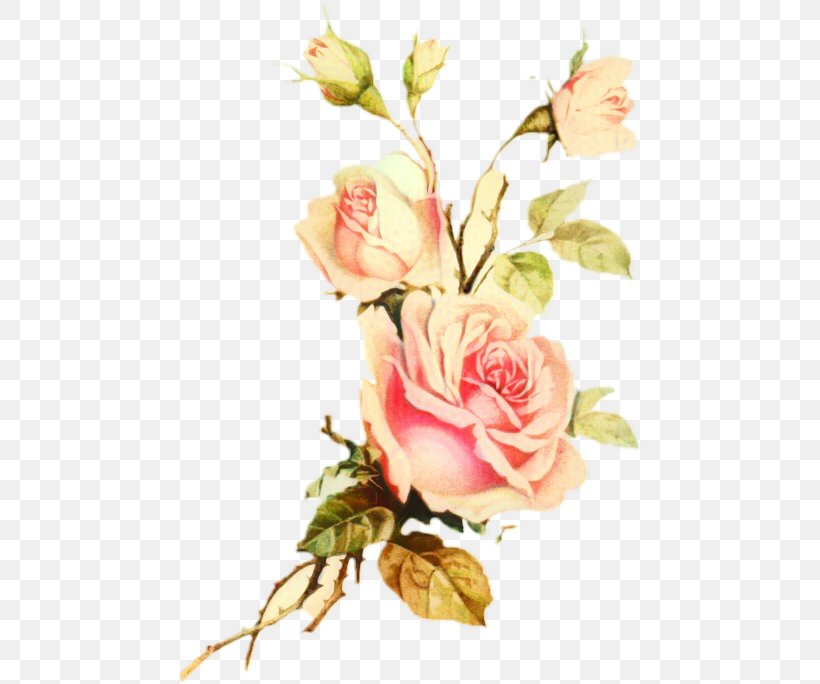 Pink Flower Cartoon, PNG, 463x684px, Garden Roses, Artificial Flower, Blossom, Bouquet, Bud Download Free