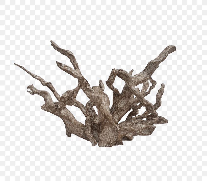Driftwood Art White River Coral, PNG, 720x720px, Driftwood, Art, Branch, Com, Coral Download Free