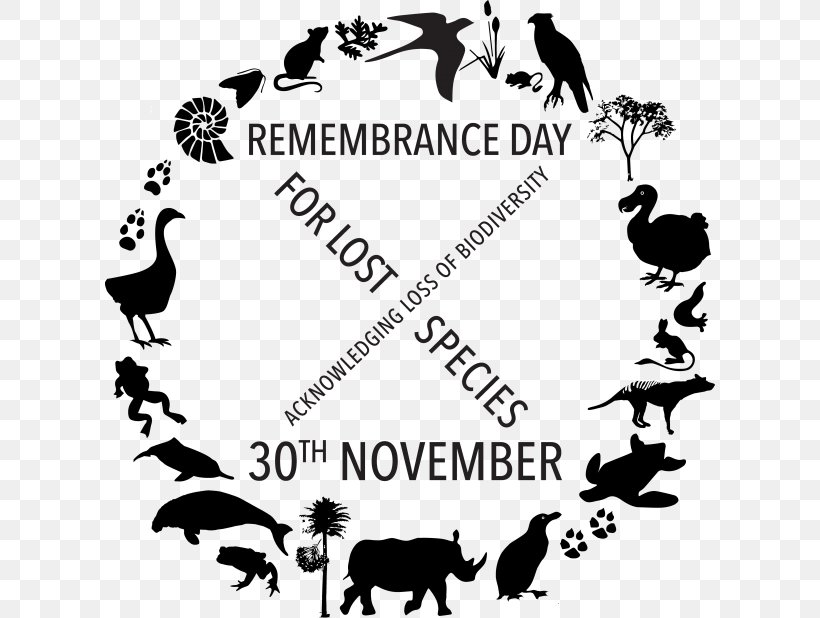 Holocene Extinction Armistice Day Pollution Poppy, PNG, 610x618px, Extinction, Animal, Area, Armistice Day, Bird Download Free