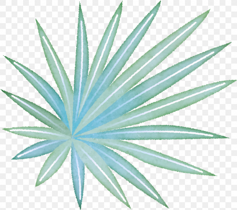 Palm Trees, PNG, 1600x1420px, Leaf, Arbor Day, Branch, Coconut, Flower Download Free