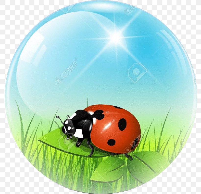 Sphere Ball Clip Art, PNG, 788x788px, Sphere, Arthropod, Ball, Beetle, Computer Download Free