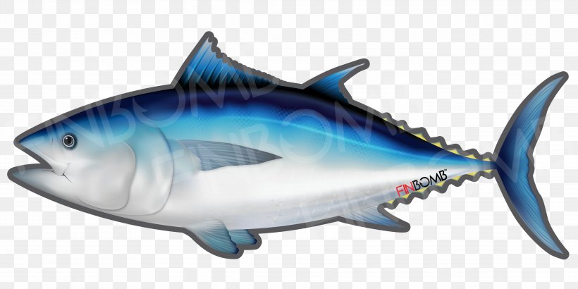 Thunnus Sushi Yellowfin Tuna Atlantic Bluefin Tuna Fish, PNG, 4163x2083px, Thunnus, Animal Figure, Atlantic Bluefin Tuna, Bonito, Bony Fish Download Free
