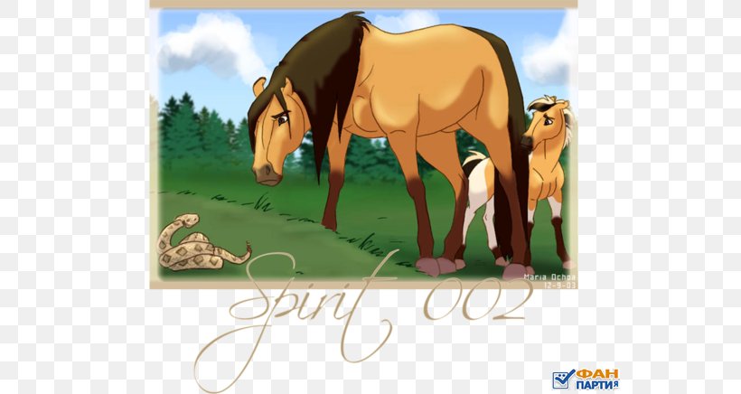 YouTube Film Spirit DreamWorks Animation, PNG, 560x436px, Youtube, Bridle, Colt, Dreamworks, Dreamworks Animation Download Free