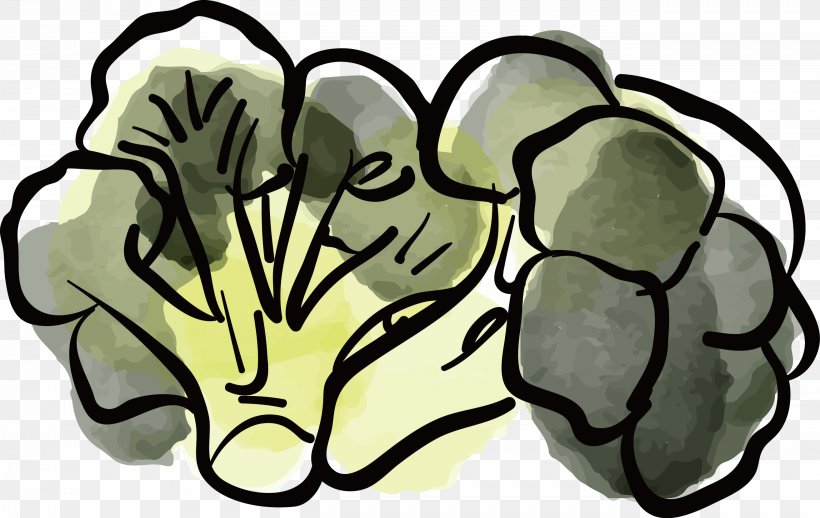 Cauliflower Food Vegetable, PNG, 2624x1660px, Watercolor, Cartoon, Flower, Frame, Heart Download Free
