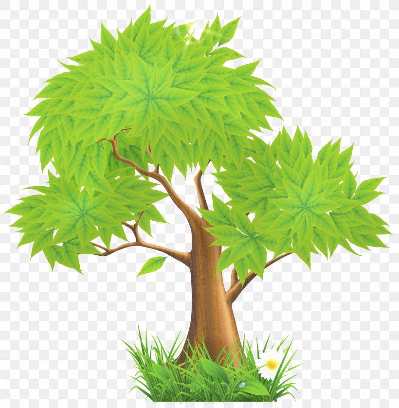 Euclidean Vector Green Illustration, PNG, 2500x2558px, Tree, Animation, Branch, Computer Graphics, Flowerpot Download Free