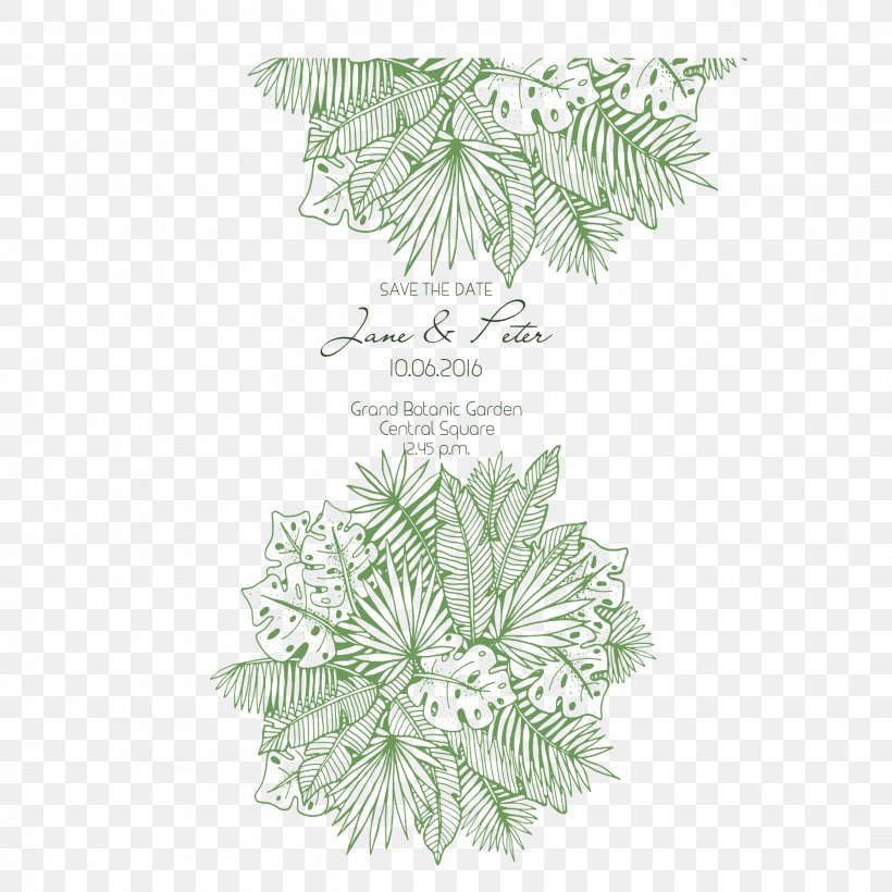 Leaf Euclidean Vector Green, PNG, 2222x2222px, Flower, Flora, Floral Design, Grass, Green Download Free