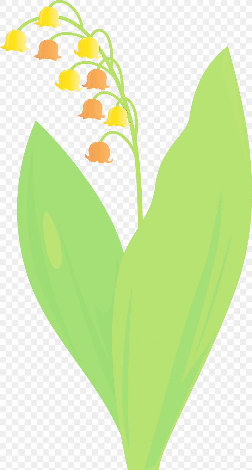 Leaf Green Lily Of The Valley Yellow Plant, PNG, 1610x3000px, Lily Bell, Anthurium, Flower, Green, Heart Download Free