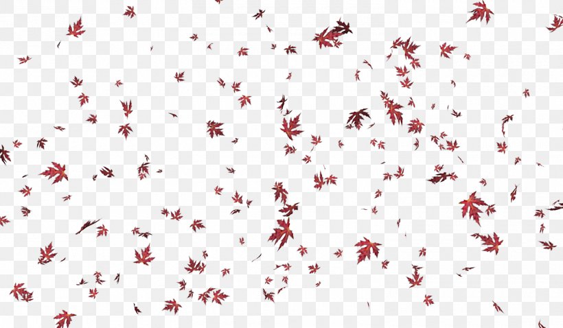 Maple Leaf Autumn, PNG, 1500x875px, Leaf, Animation, Autumn, Deciduous, Heart Download Free