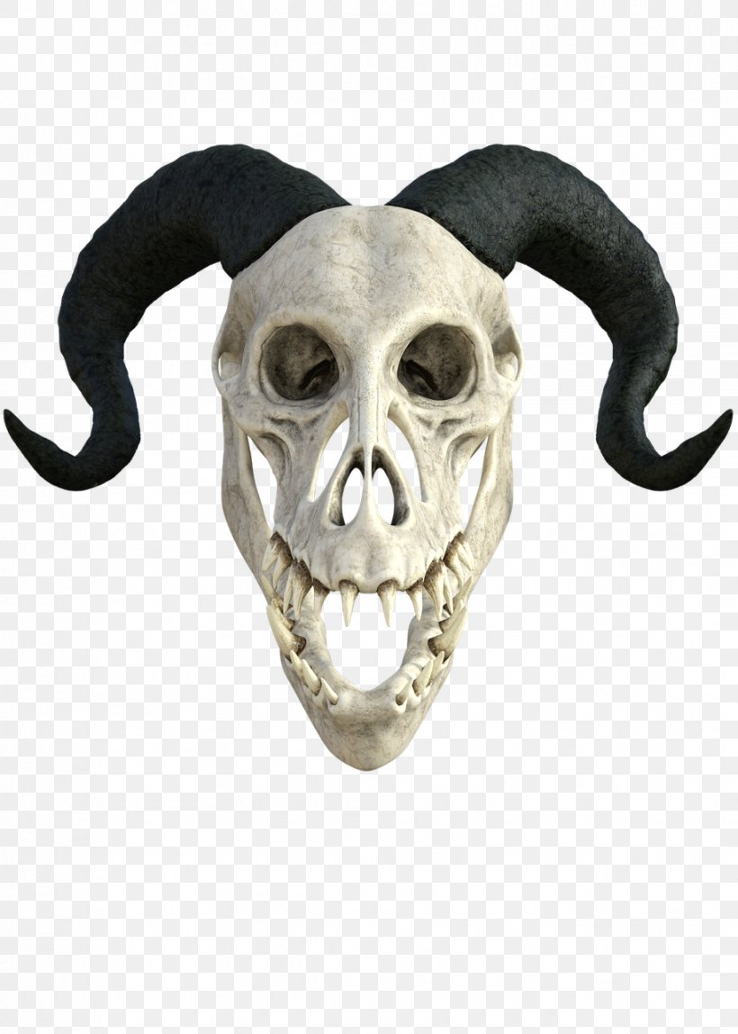 Skull Head Anatomy Clip Art, PNG, 914x1280px, Skull, Anatomy, Bone, Dragon, Drawing Download Free