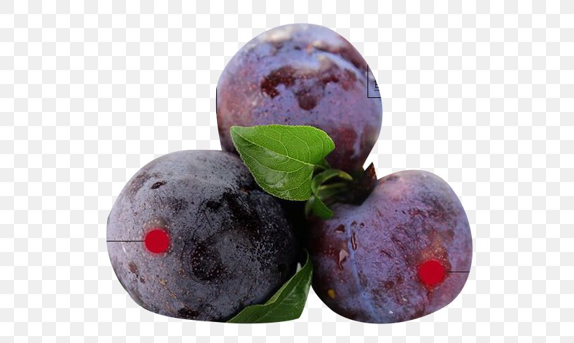 Blueberry Plum Fruit, PNG, 750x490px, Blueberry, Berry, Food, Fruit, Fruit Picking Download Free
