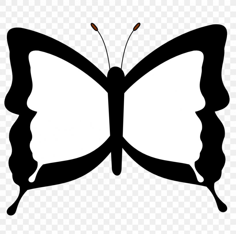 Butterfly Black And White Drawing Coloring Book Clip Art, PNG, 999x990px, Butterfly, Black And White, Black Butterfly, Caterpillar, Color Download Free