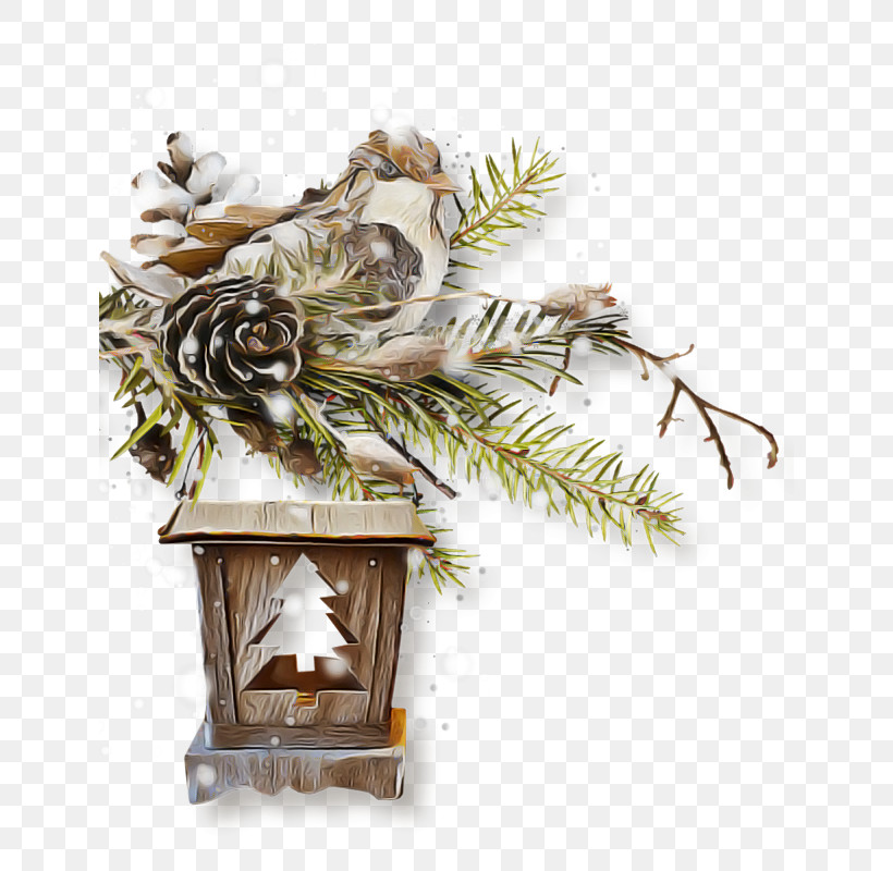 Christmas Tree, PNG, 638x800px, Branch, Christmas Decoration, Christmas Ornament, Christmas Tree, Conifer Download Free