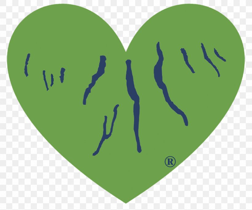 Love Background Heart, PNG, 848x706px, Keuka Lake, Business, Canandaigua Lake, Cayuga Lake, Finger Lakes Download Free