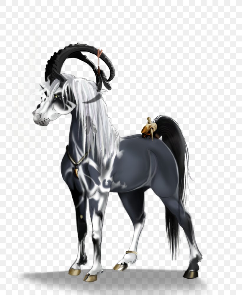 Stallion Mustang Halter Mare Horse Harnesses, PNG, 800x997px, Stallion, Bridle, Colt, Halter, Horse Download Free