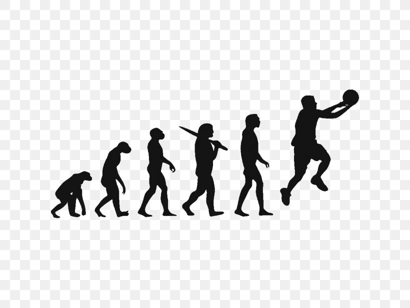 T-shirt Human Evolution Homo Sapiens Biology, PNG, 616x616px, Tshirt, Biologist, Biology, Black, Evolution Download Free