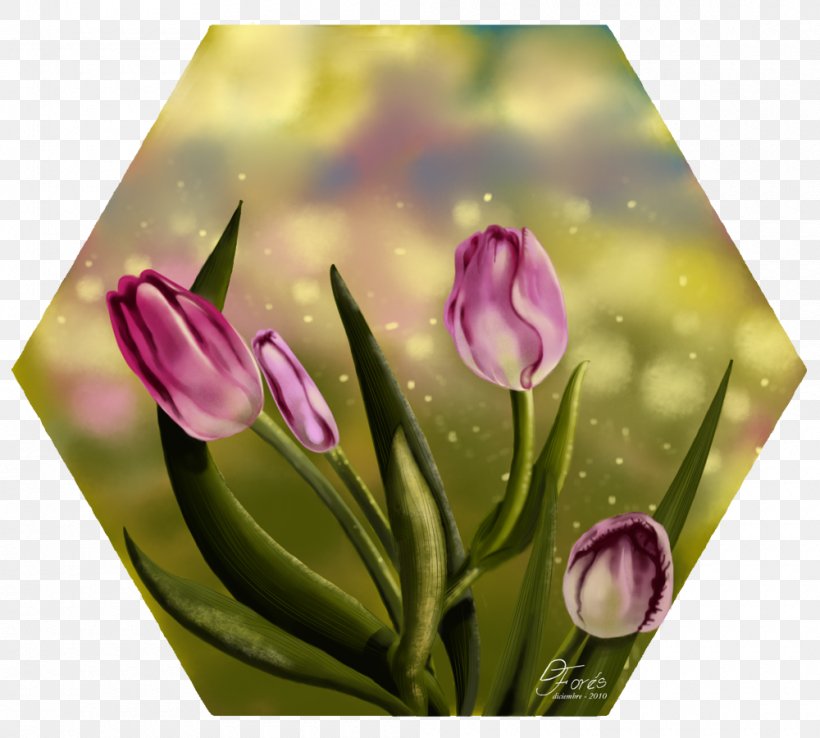 Tulip Floral Design Cut Flowers Petal, PNG, 1000x900px, Tulip, Bud, Cut Flowers, Floral Design, Floristry Download Free