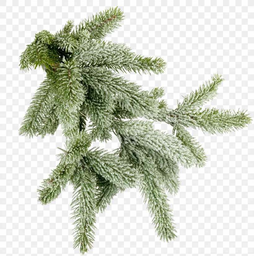 Christmas Ornament Spruce Tree Clip Art, PNG, 2774x2800px, Christmas, Albom, Branch, Christmas Decoration, Christmas Ornament Download Free