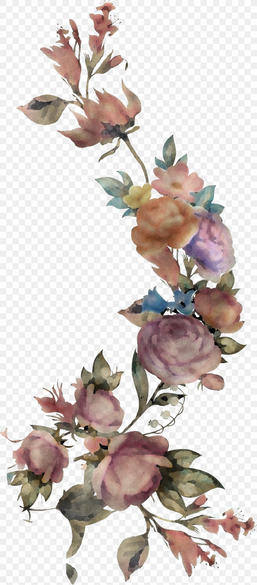 Floral Design, PNG, 1354x3086px, Floral Design, Drawing, Flower, Garden Roses, Line Art Download Free