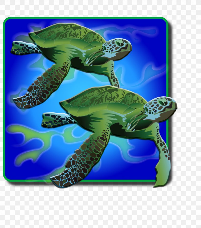 Loggerhead Sea Turtle Ecosystem Marine Biology Fauna, PNG, 973x1107px, Loggerhead Sea Turtle, Biology, Ecosystem, Fauna, La Quinta Inns Suites Download Free