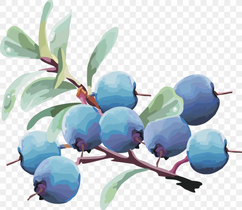 Bilberry Blueberry Fruit, PNG, 1000x867px, Bilberry, Auglis, Berry, Blueberry, Branch Download Free