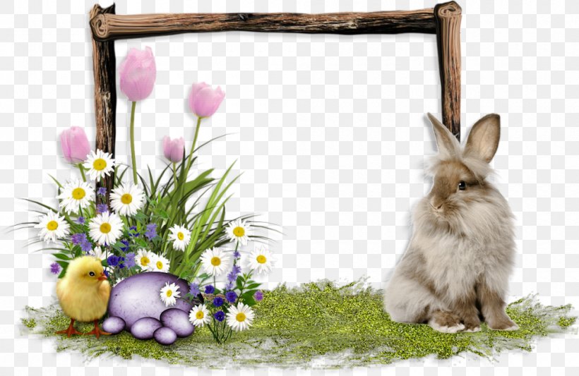Domestic Rabbit Easter Hare, PNG, 1000x650px, Domestic Rabbit, Easter, Flower, Hare, Leporids Download Free