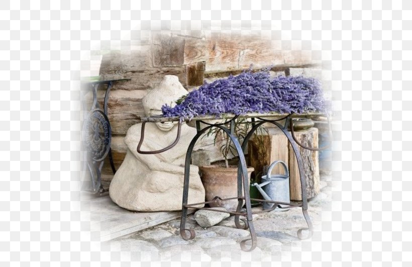 English Lavender French Lavender Lavender Oil Provence Plant, PNG, 538x531px, English Lavender, Acne, Bacteria, Color, Decoupage Download Free
