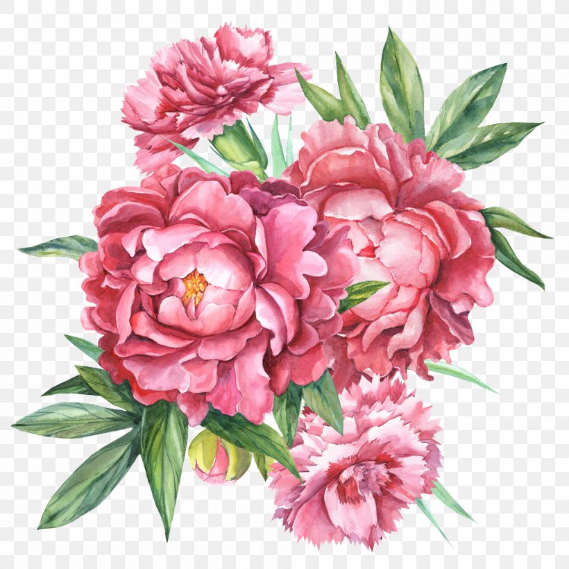 Floral Design Carnation Botanical Illustration Flower Bouquet Botany, PNG, 1000x1000px, Floral Design, Annual Plant, Art, Artificial Flower, Blume Download Free