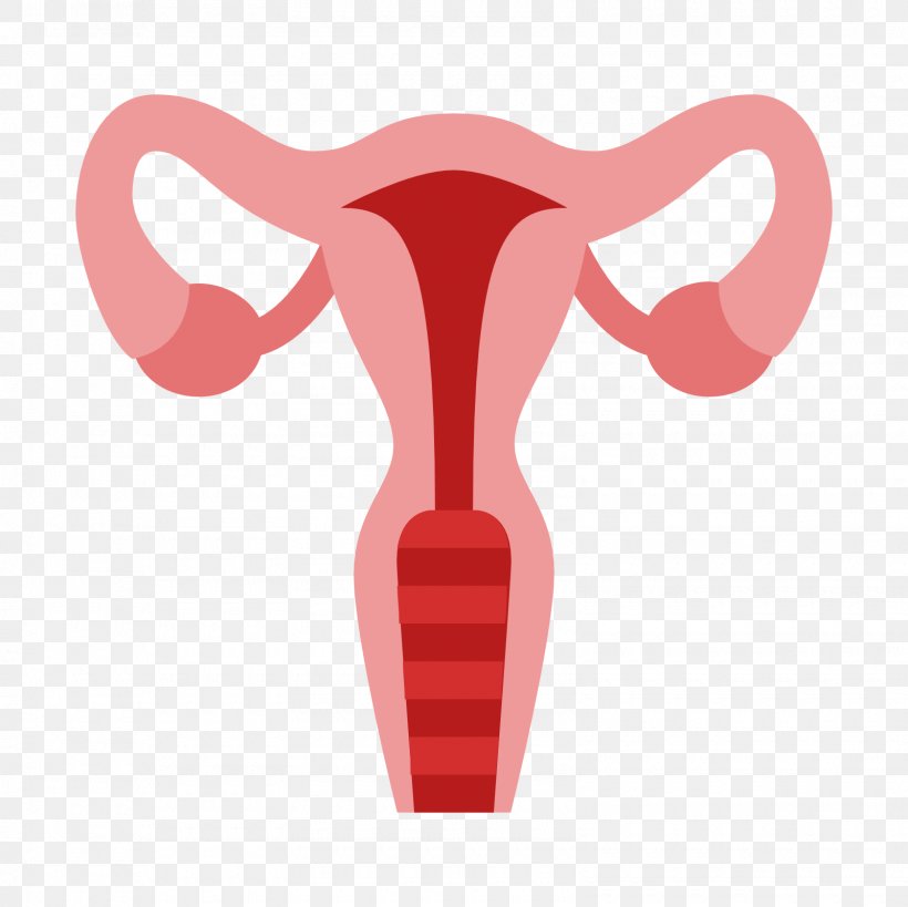 Uterus Ovary Cervix Fallopian Tube, PNG, 1600x1600px, Watercolor, Cartoon, Flower, Frame, Heart Download Free