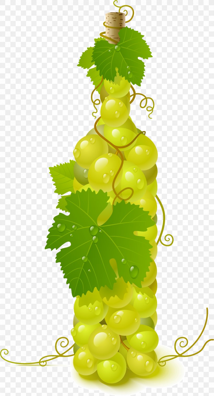 Wine Common Grape Vine Clip Art, PNG, 876x1616px, Wine, Bottle, Common Grape Vine, Flowering Plant, Food Download Free