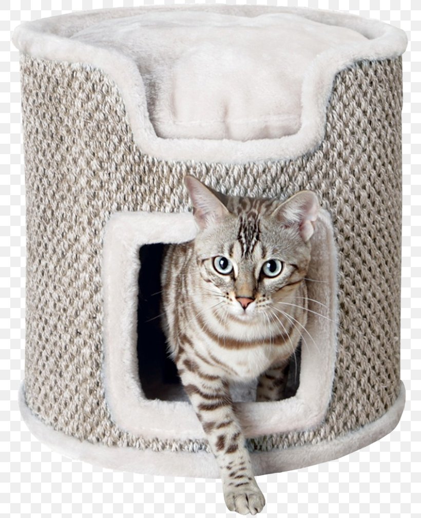 Cat Tree Scratching Post Cat Food Felidae, PNG, 800x1009px, Cat, Beslistnl, Big Cat, Box, Cat Bed Download Free