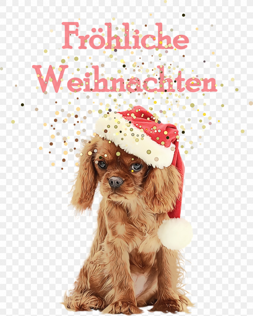 Cockapoo Cavoodle Snout Puppy Spaniel, PNG, 2401x3000px, Frohliche Weihnachten, Breed, Cavoodle, Clothing, Cockapoo Download Free