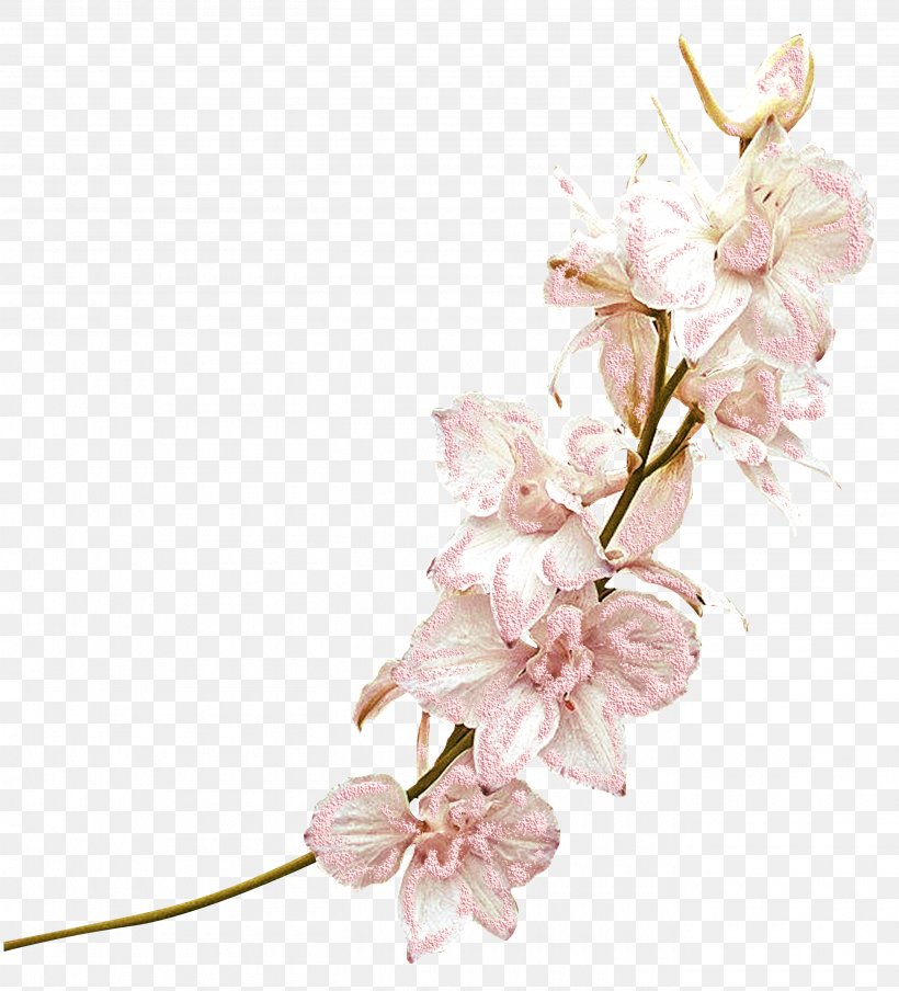Cut Flowers Floral Design Adoration Artificial Flower, PNG, 2720x3000px, Flower, Adoration, Artificial Flower, Blossom, Branch Download Free