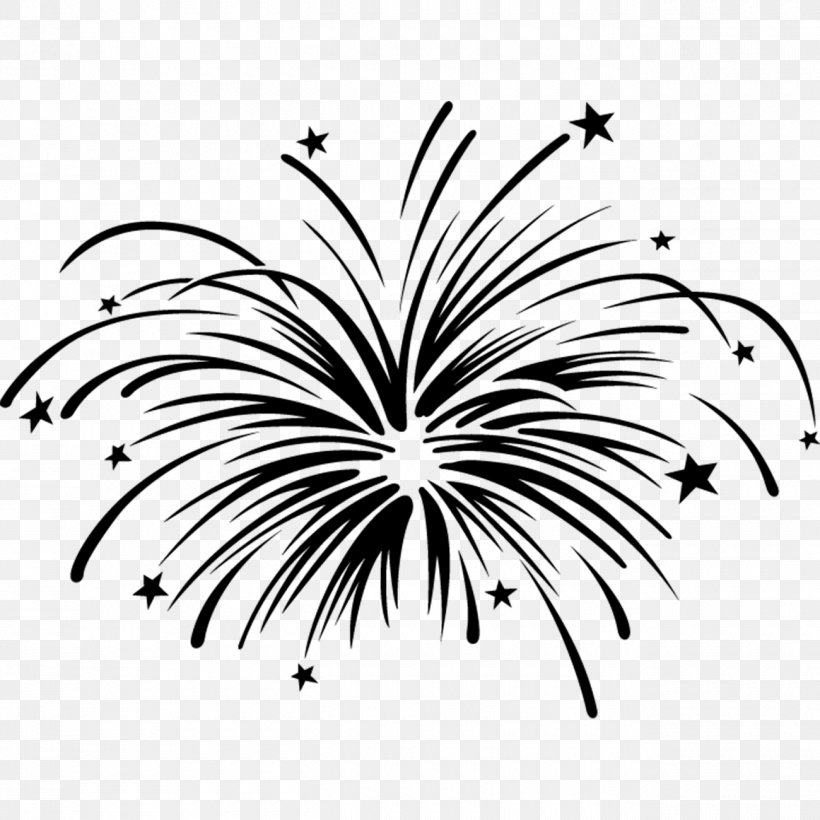 Fireworks Black And White Clip Art, PNG, 1300x1300px, Fireworks, Animation, Black, Black And White, Branch Download Free