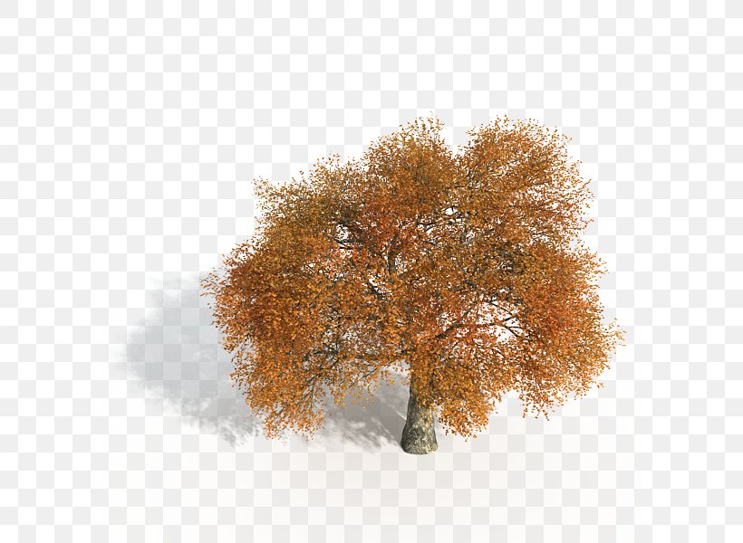 Game Tree, PNG, 600x600px, 3d Computer Graphics, 3d Modeling, Game Tree, Autodesk 3ds Max, Autumn Download Free