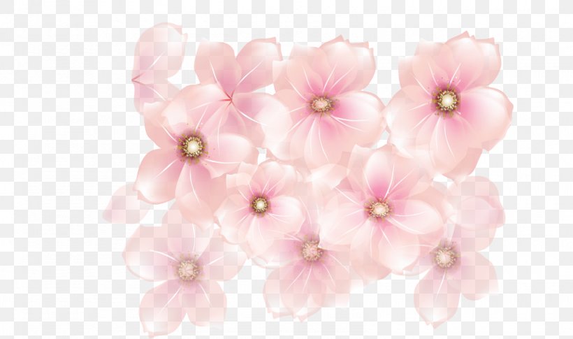 Pink Flowers Desktop Wallpaper Clip Art, PNG, 1600x948px, Pink Flowers, Art, Blossom, Cherry Blossom, Cut Flowers Download Free