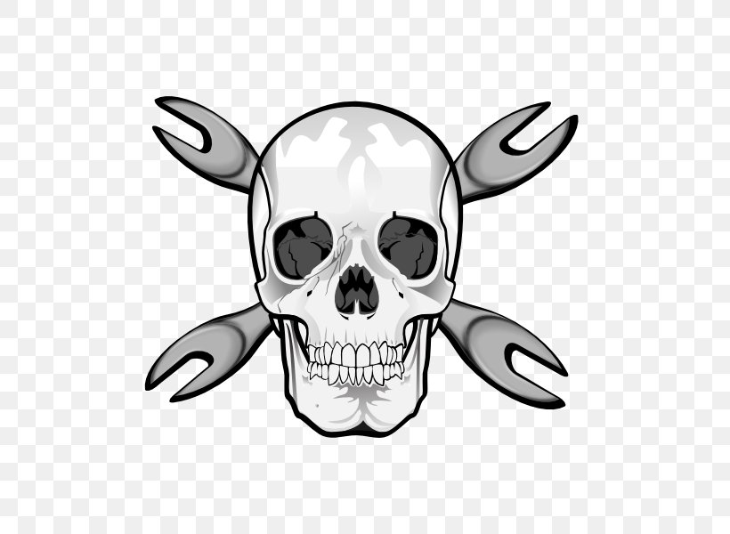 Snout Skull Map Clip Art, PNG, 600x600px, Snout, Black And White, Bone, Combat Helmet, Head Download Free