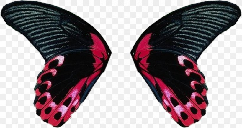 Butterfly Insect Wing Clip Art, PNG, 840x446px, Butterfly, Butterflies And Moths, Digital Image, Drawing, Insect Download Free