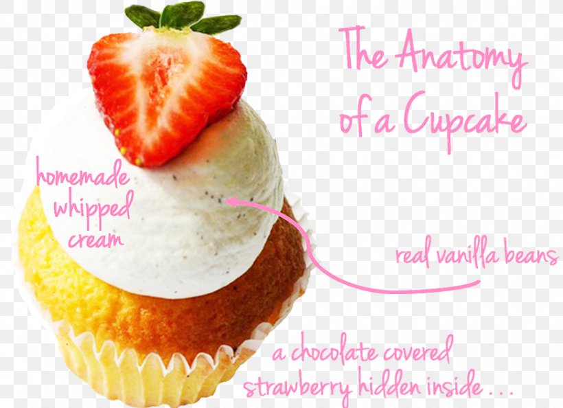Cupcake Cheesecake Muffin Buttercream, PNG, 873x633px, Cupcake, Baking, Buttercream, Cake, Cheesecake Download Free