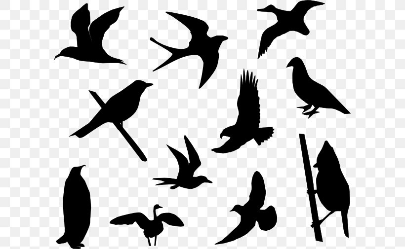 Hummingbird Lovebird Clip Art, PNG, 600x505px, Bird, Beak, Bird Flight, Black And White, Drawing Download Free