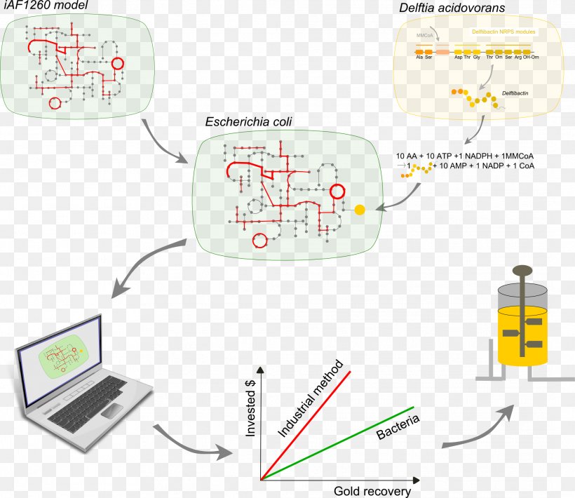 International Genetically Engineered Machine Gold Extraction Bioleaching E. Coli, PNG, 2128x1844px, Gold Extraction, Area, Bioleaching, Chemical Process, Chemical Reaction Download Free