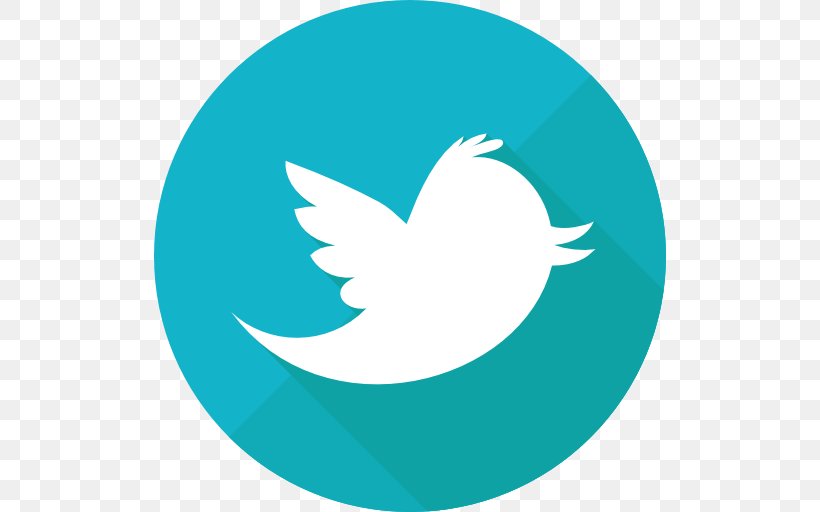 Logo Social Media United States, PNG, 512x512px, Logo, Aqua, Beak, Bird, Brand Download Free