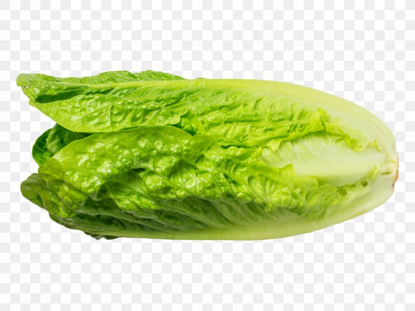 Romaine Lettuce Chinese Cabbage Vegetable Greens, PNG, 866x650px, Romaine Lettuce, Cabbage, Cauliflower, Chinese Cabbage, Food Download Free