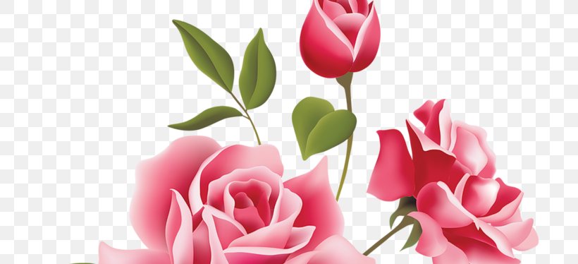 Rose Vector Graphics Floral Design Clip Art Flower, PNG, 711x374px, Rose, Artificial Flower, Bud, Cut Flowers, Floral Design Download Free