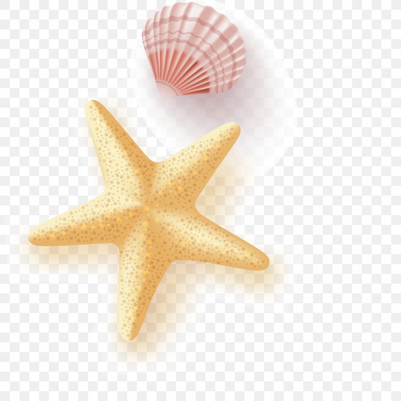 Starfish Euclidean Vector Seashell, PNG, 2244x2244px, Starfish, Dos, Sand, Sea, Seashell Download Free