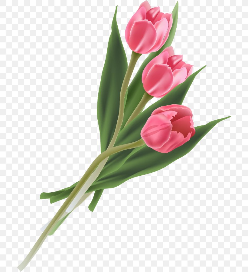 Tulip Flower Bouquet, PNG, 710x898px, Tulip, Bud, Cut Flowers, Floral Design, Floristry Download Free