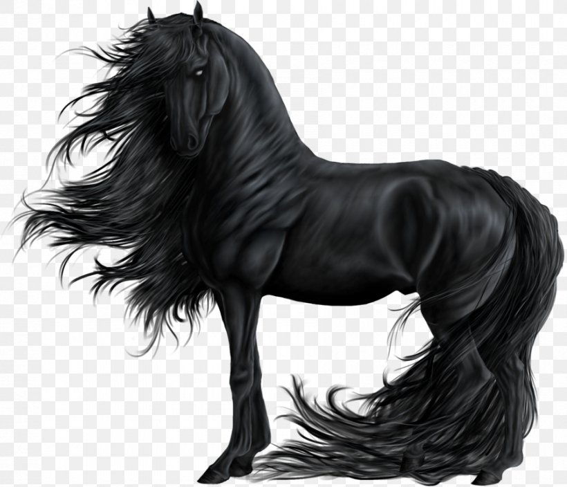 Friesian Horse Mustang Gypsy Horse Stallion Shire Horse, PNG, 900x773px, Friesian Horse, Andalusian Horse, Animal, Appaloosa, Black Download Free
