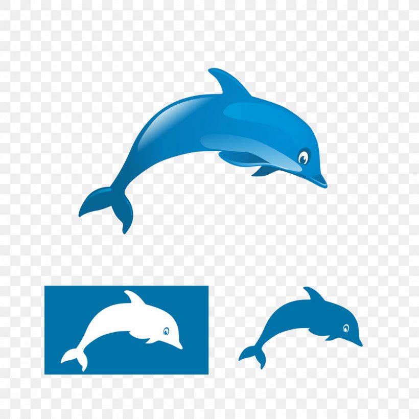 Logo Dolphin Illustration, PNG, 1000x1000px, Logo, Animation, Beak, Blue, Cartoon Download Free