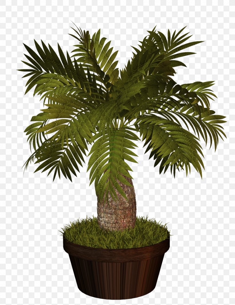 Palm Trees Houseplant Interior Design Services Plants, PNG, 933x1211px, Palm Trees, Arecales, Art, Borassus Flabellifer, California Palm Download Free